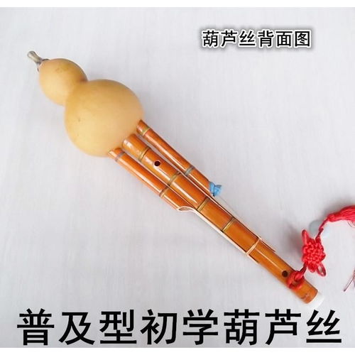 特价包邮云南葫芦丝民族乐器凤尾竹双音初学练习型降b调c调葫芦丝