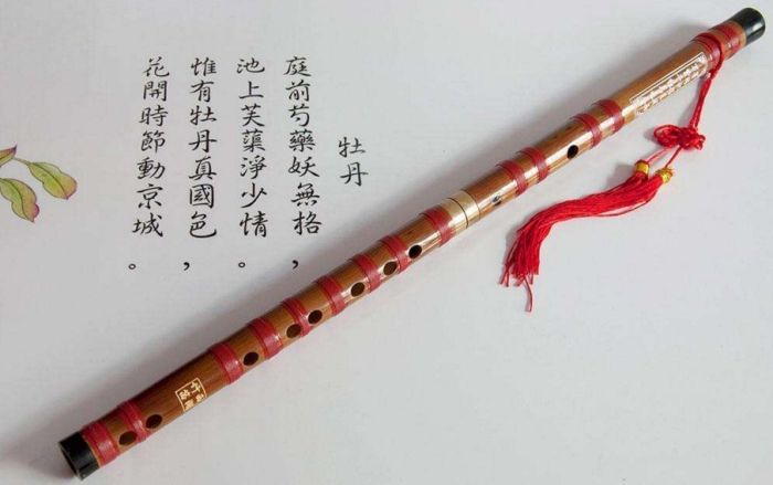 笛子在乐团中的角色及乐器包的重要性——从笛子包厂家的视角看电子琴包